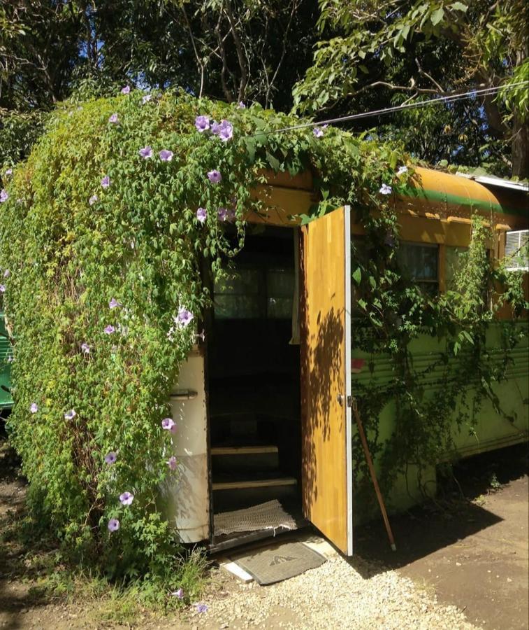 Hospedaje Combi Dream Bird Playas del Coco Exterior photo