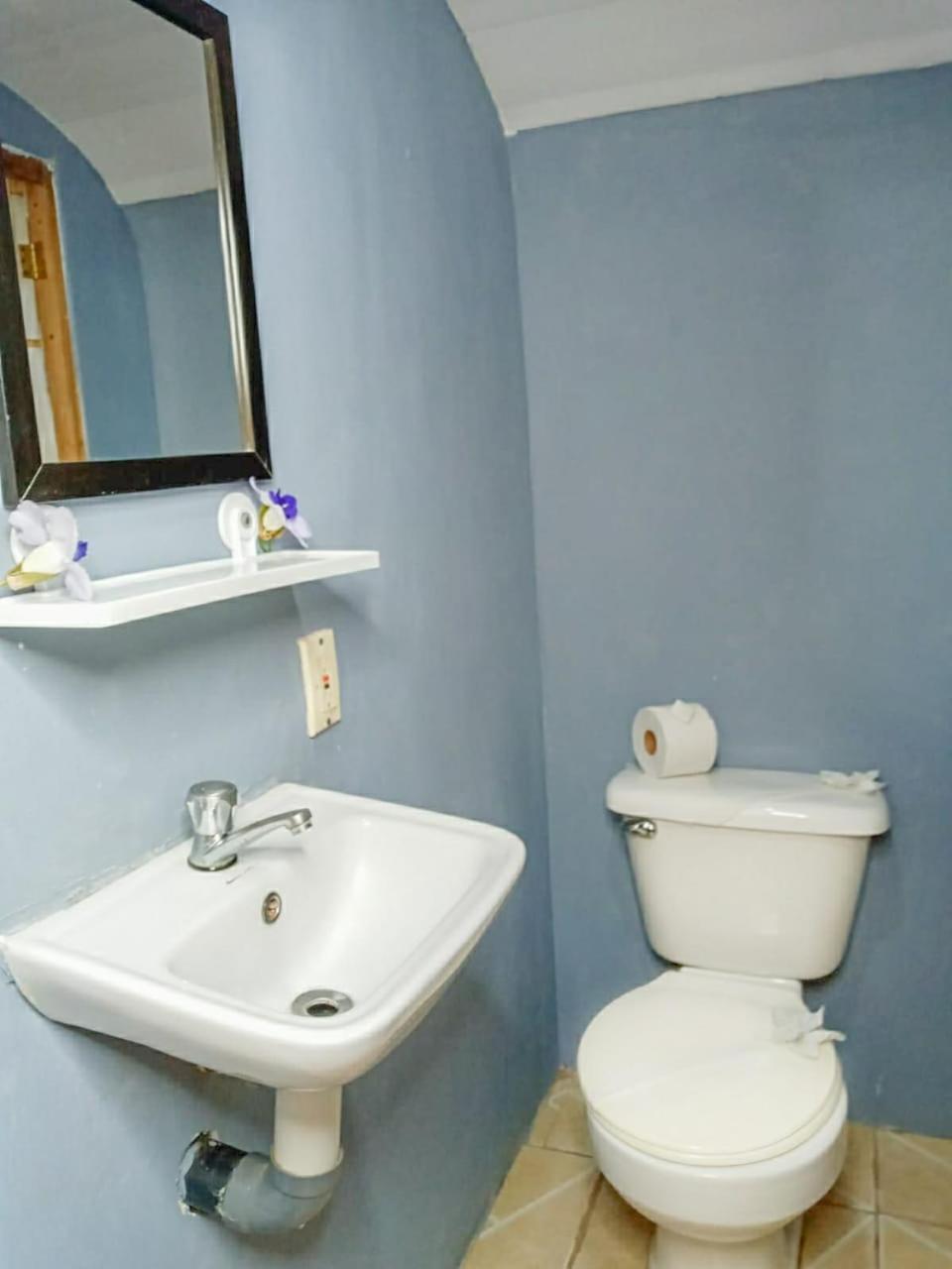 Hospedaje Combi Dream Bird Playas del Coco Exterior photo