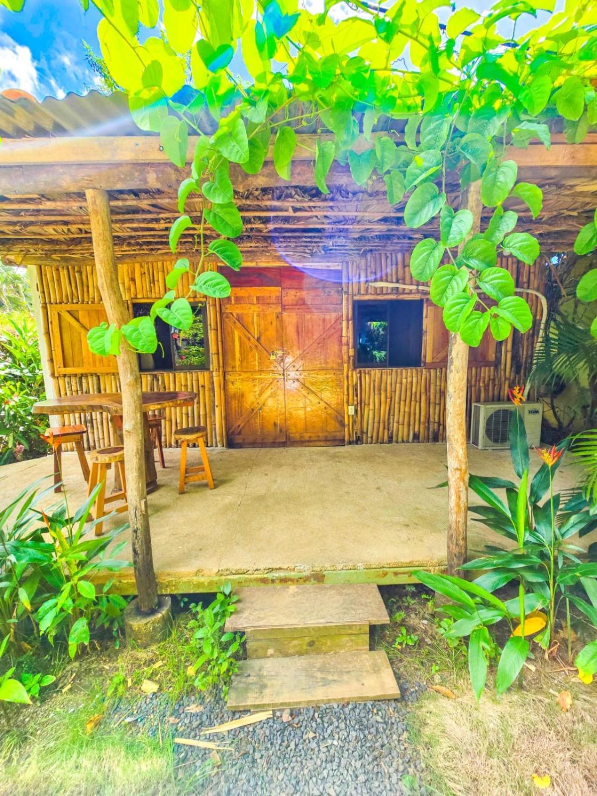 Hospedaje Combi Dream Bird Playas del Coco Exterior photo